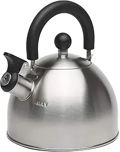 Stainless steel stovetop tea kettle with a black handle and spout lever.